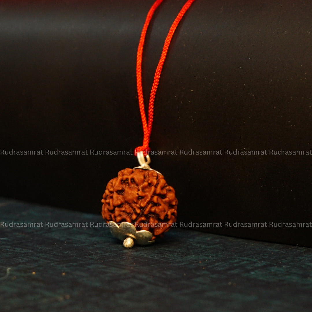 6 mukhi rudraksha price