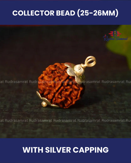 6 Mukhi Rudraksha