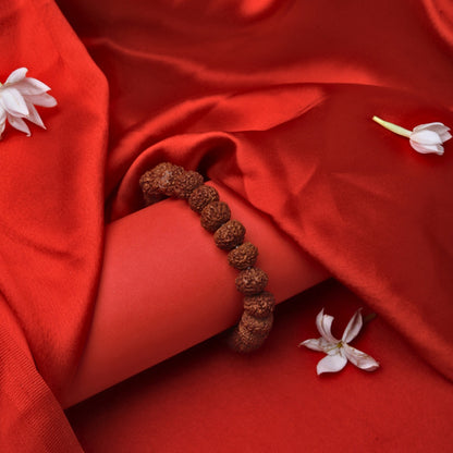 buy 7 mukhi rudraksha bracelet 