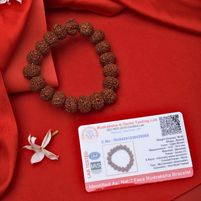 7 mukhi rudraksha bracelet price