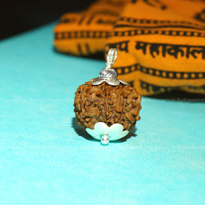 8 Mukhi Rudraksha