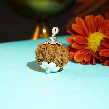 8 Mukhi Rudraksha