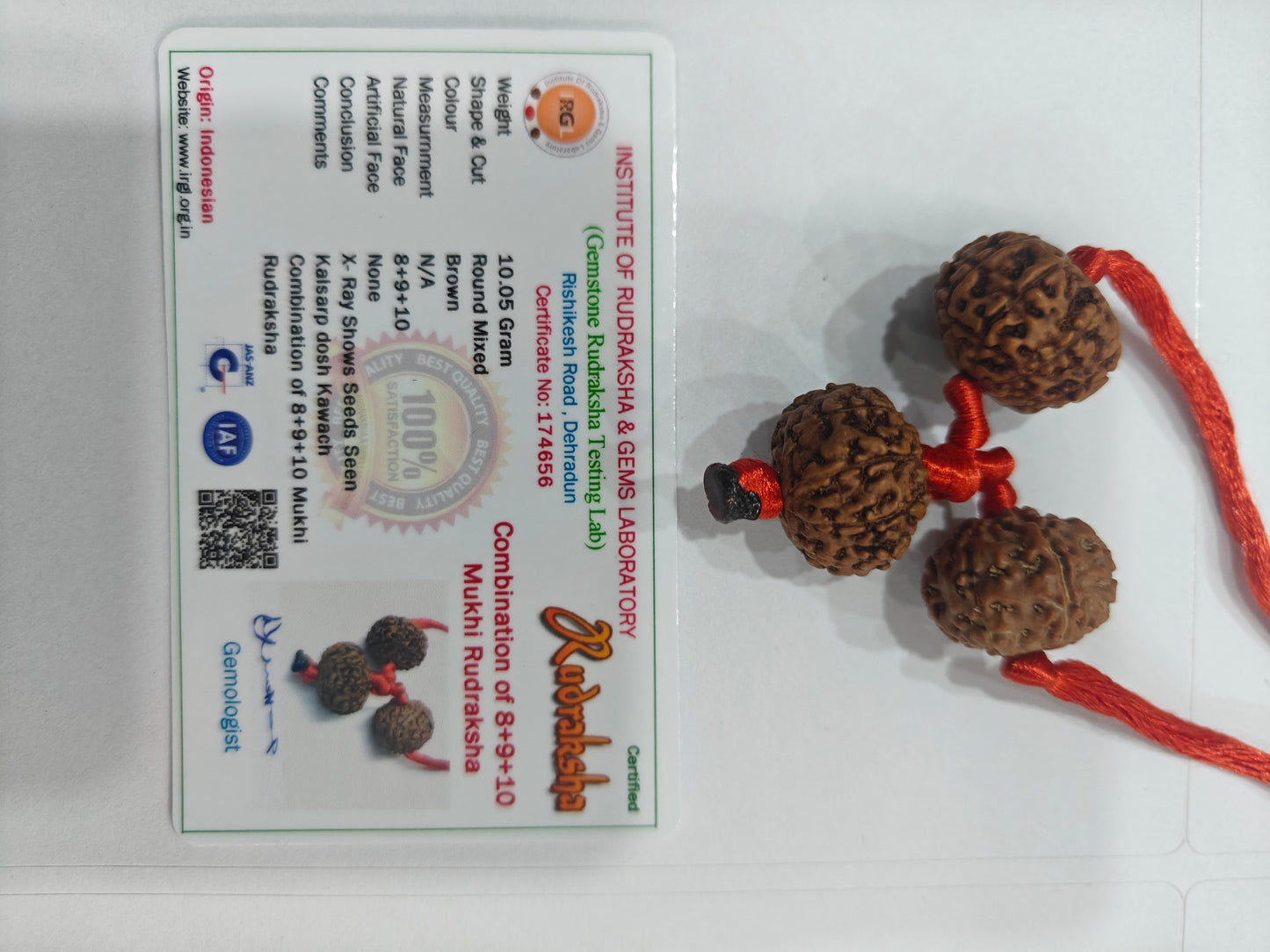 Shakti Bandh – 8, 9 & 10 Mukhi Rudraksha