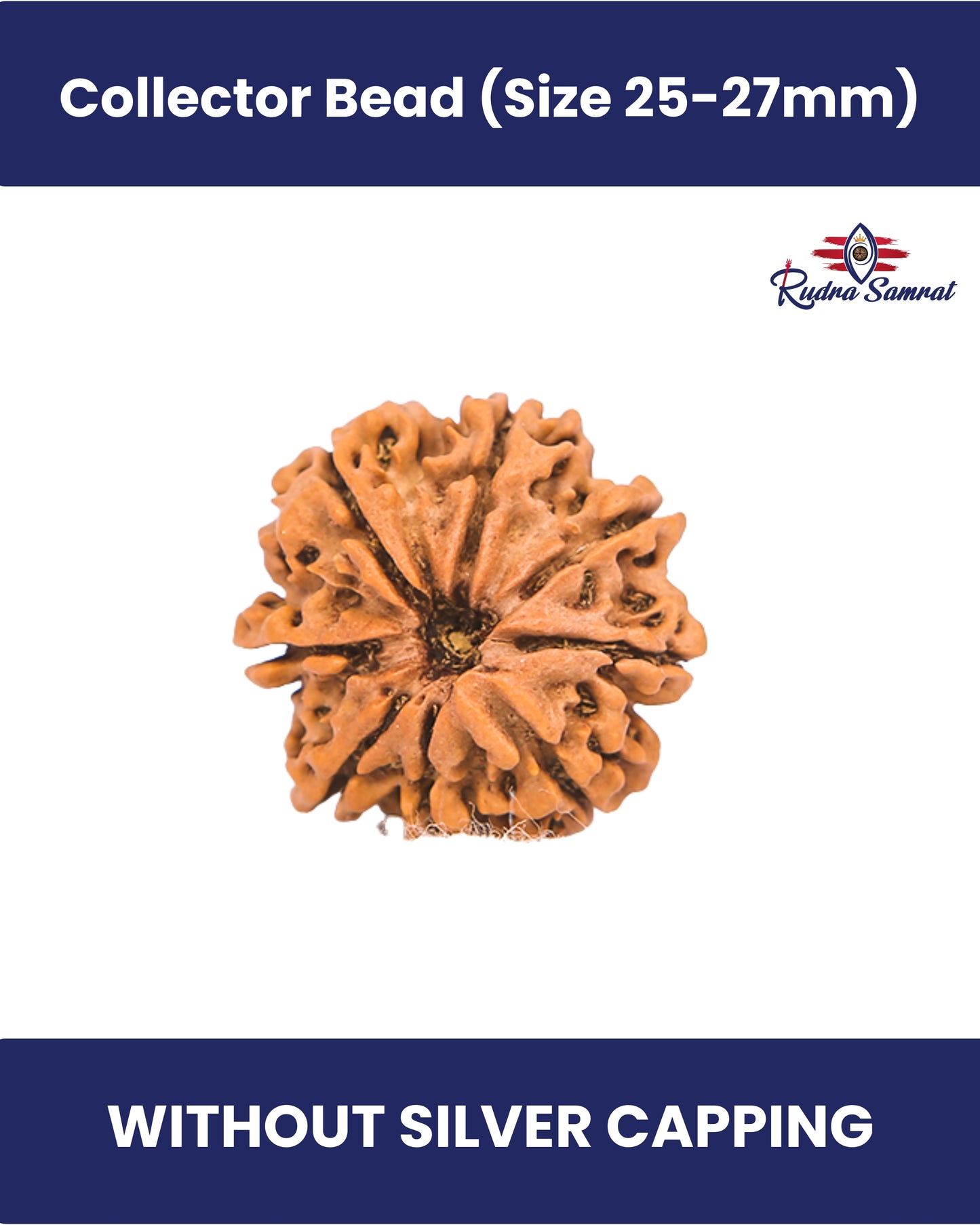 8 Mukhi Rudraksha