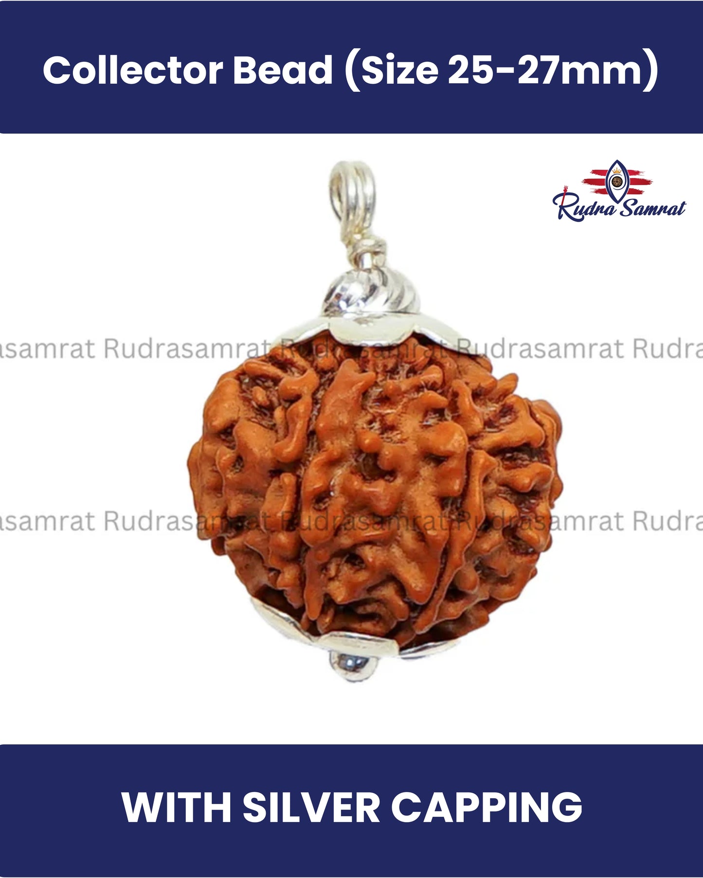 9 Mukhi Rudraksha
