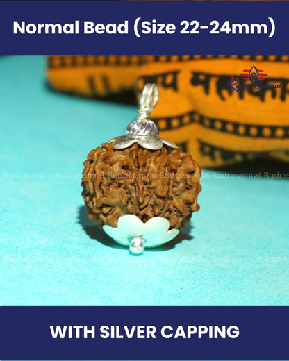 9 Mukhi Rudraksha