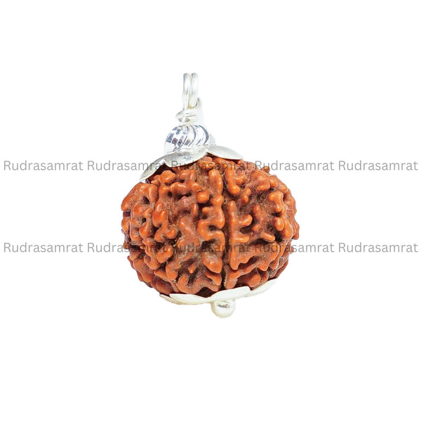 9 Mukhi Rudraksha