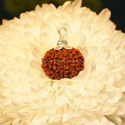 9 Mukhi Rudraksha