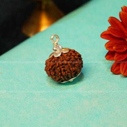 9 Mukhi Rudraksha