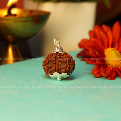 9 Mukhi Rudraksha