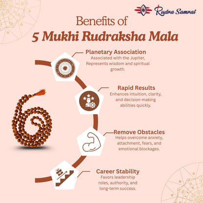 5 Mukhi Rudraksha Mala