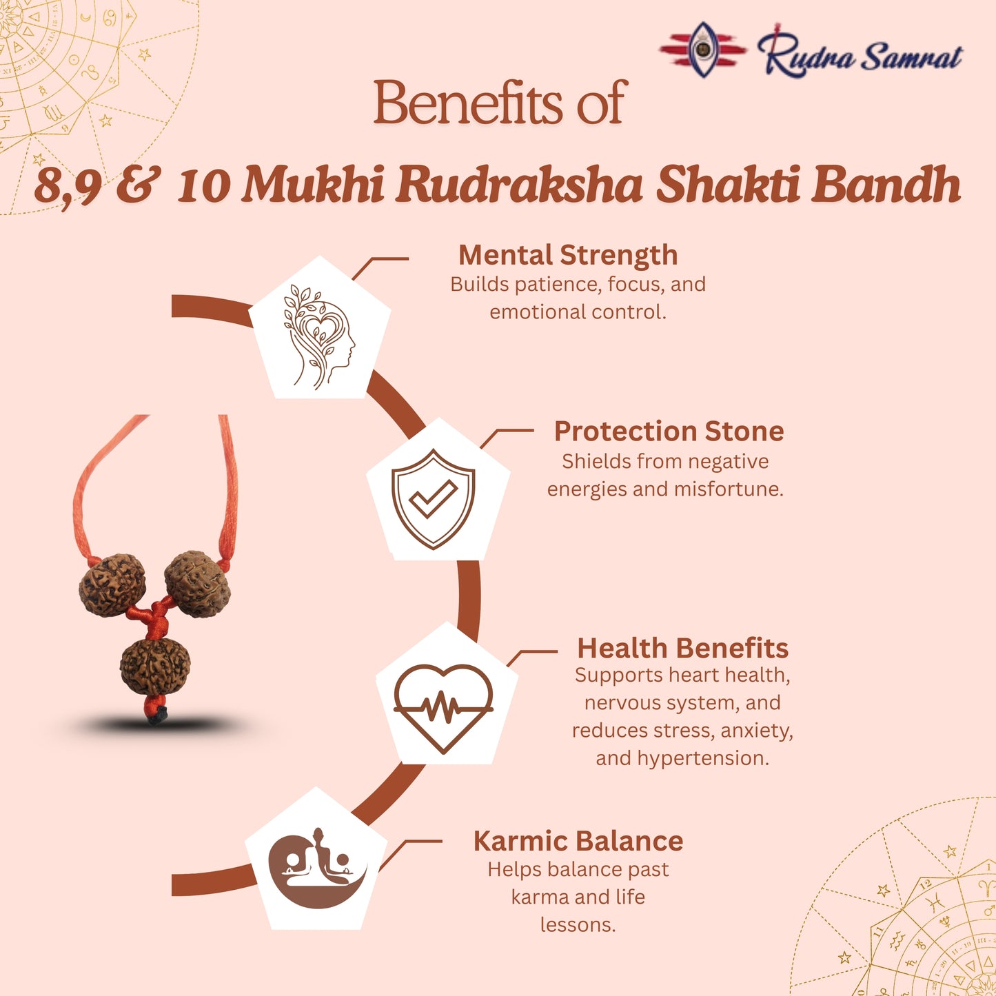 Shakti Bandh – 8, 9 & 10 Mukhi Rudraksha