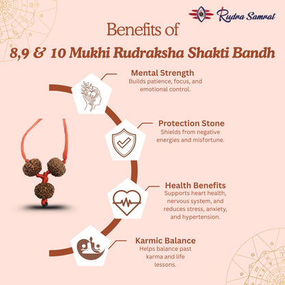 Shakti Bandh – 8, 9 & 10 Mukhi Rudraksha