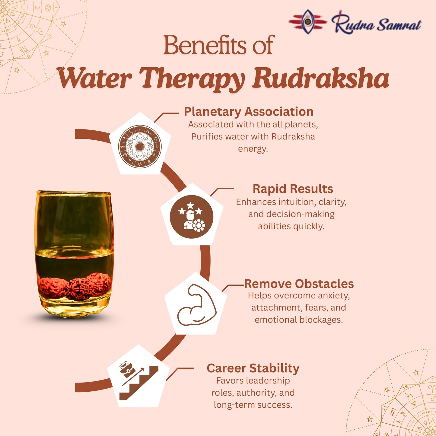 Water Therapy Rudraksha (Set of 3)
