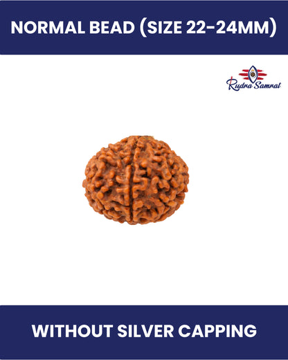 9 Mukhi Rudraksha