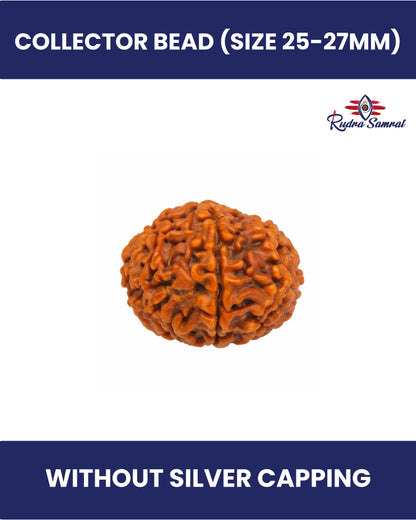 9 Mukhi Rudraksha