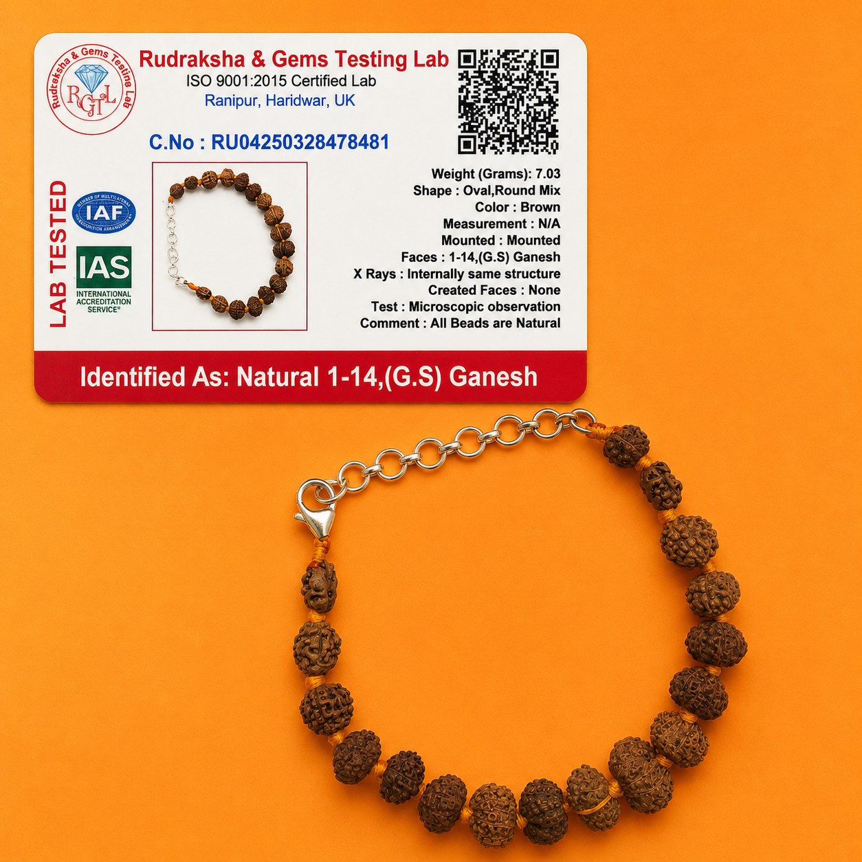1–14 Mukhi Rudraksha Bracelet (Indonesia)