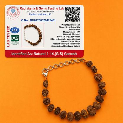 1–14 Mukhi Rudraksha Bracelet (Indonesia)