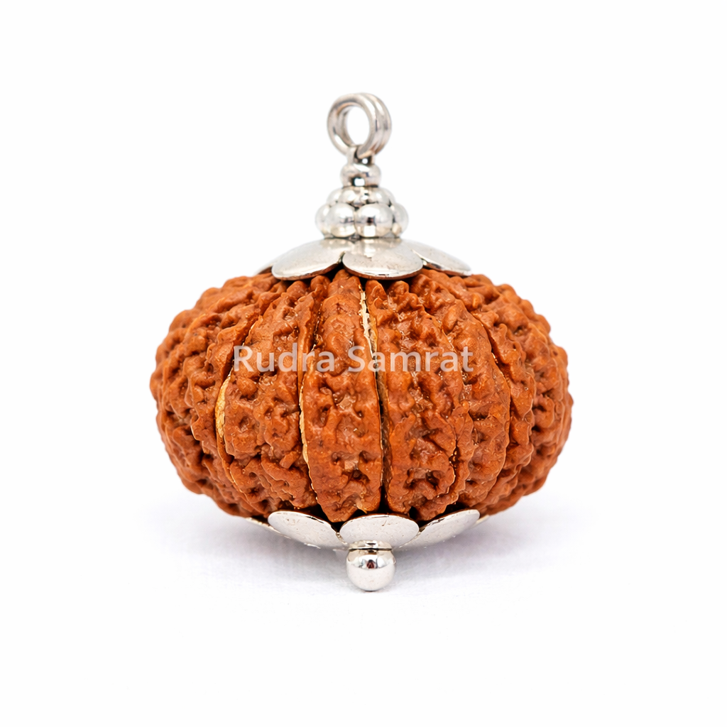Gauri Shankar Rudraksha
