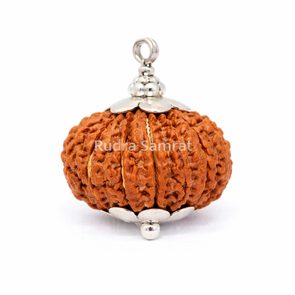 Gauri Shankar Rudraksha
