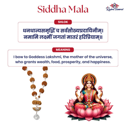 Samridhi Mala (1-14 Mukhi)