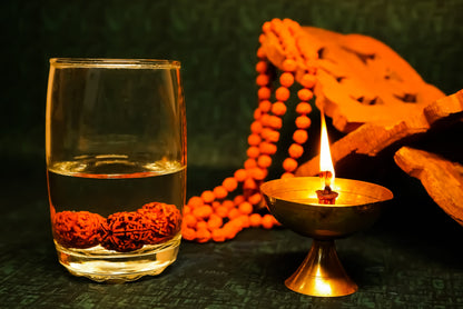 Water Therapy Rudraksha (Set of 3)