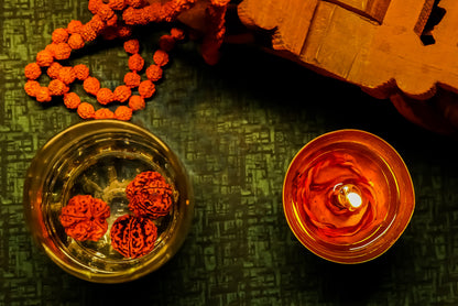 Water Therapy Rudraksha (Set of 3)