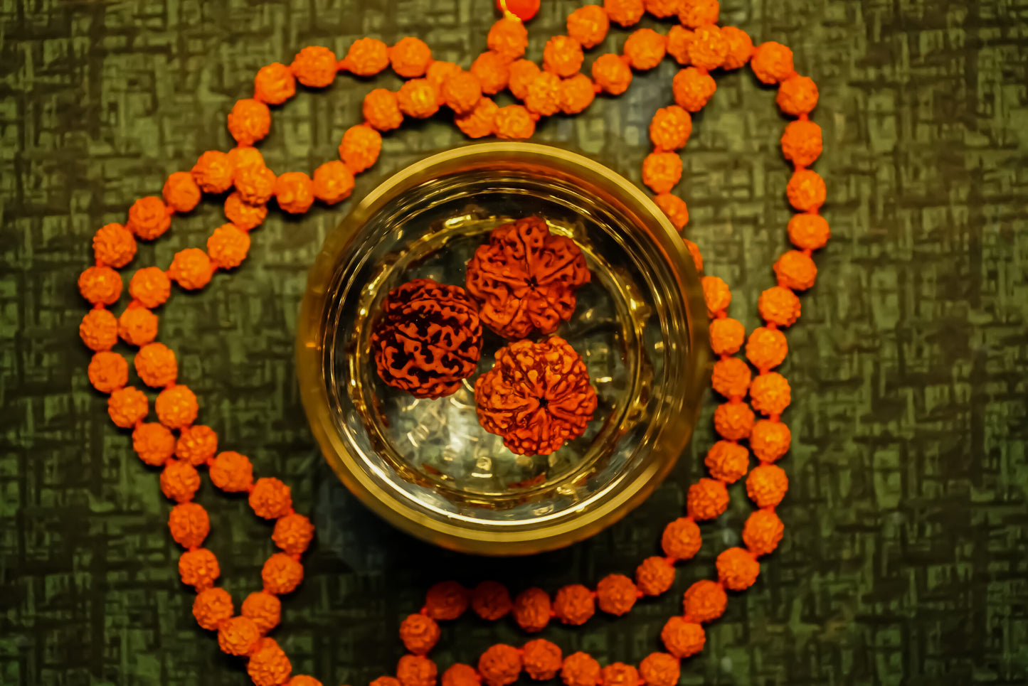 Water Therapy Rudraksha (Set of 3)