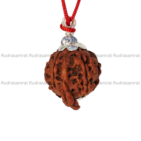 Ganesh Rudraksha