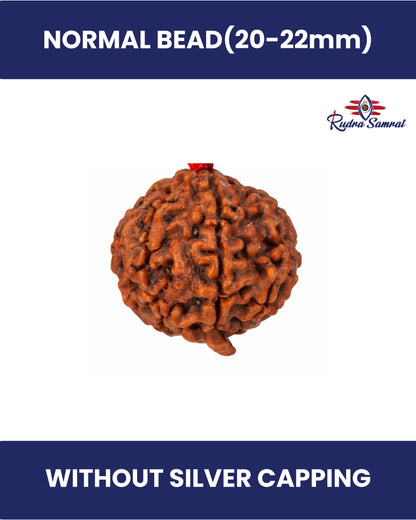 Ganesh Rudraksha