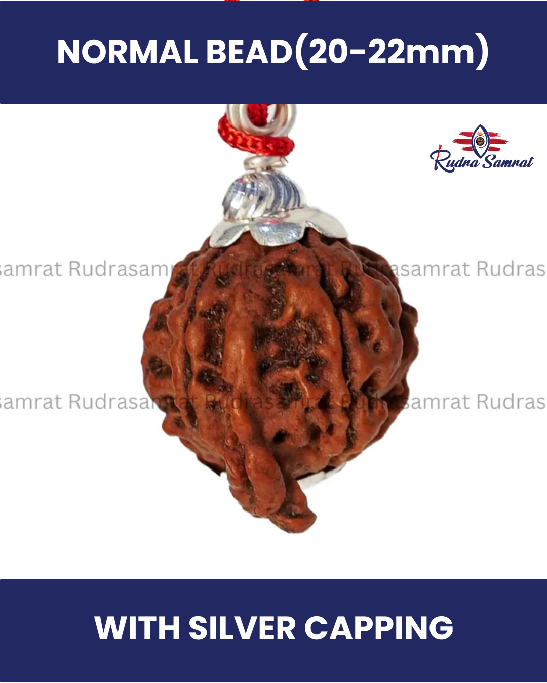 Ganesh Rudraksha