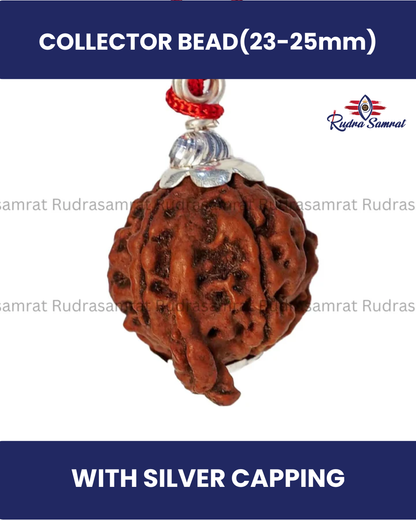 Ganesh Rudraksha