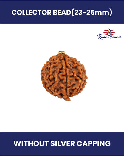 Ganesh Rudraksha