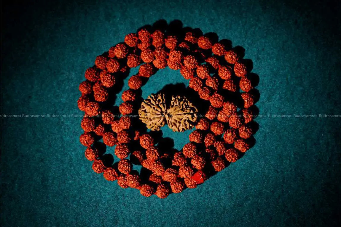 Gauri Shankar Rudraksha
