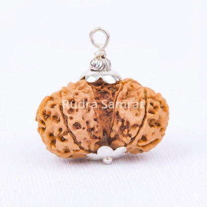 Gauri Shankar Rudraksha