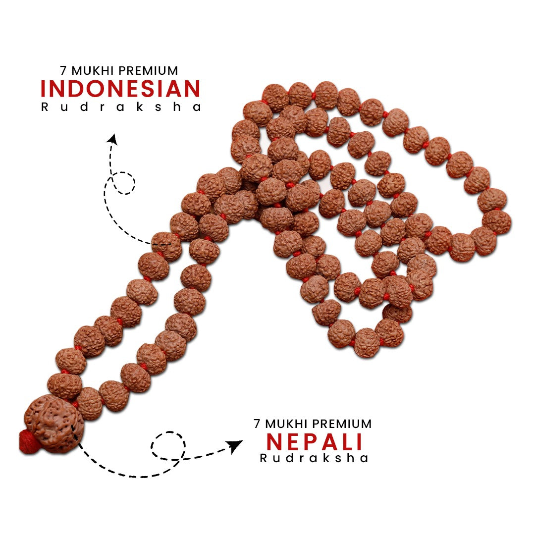 7 Mukhi Rudraksha Mala