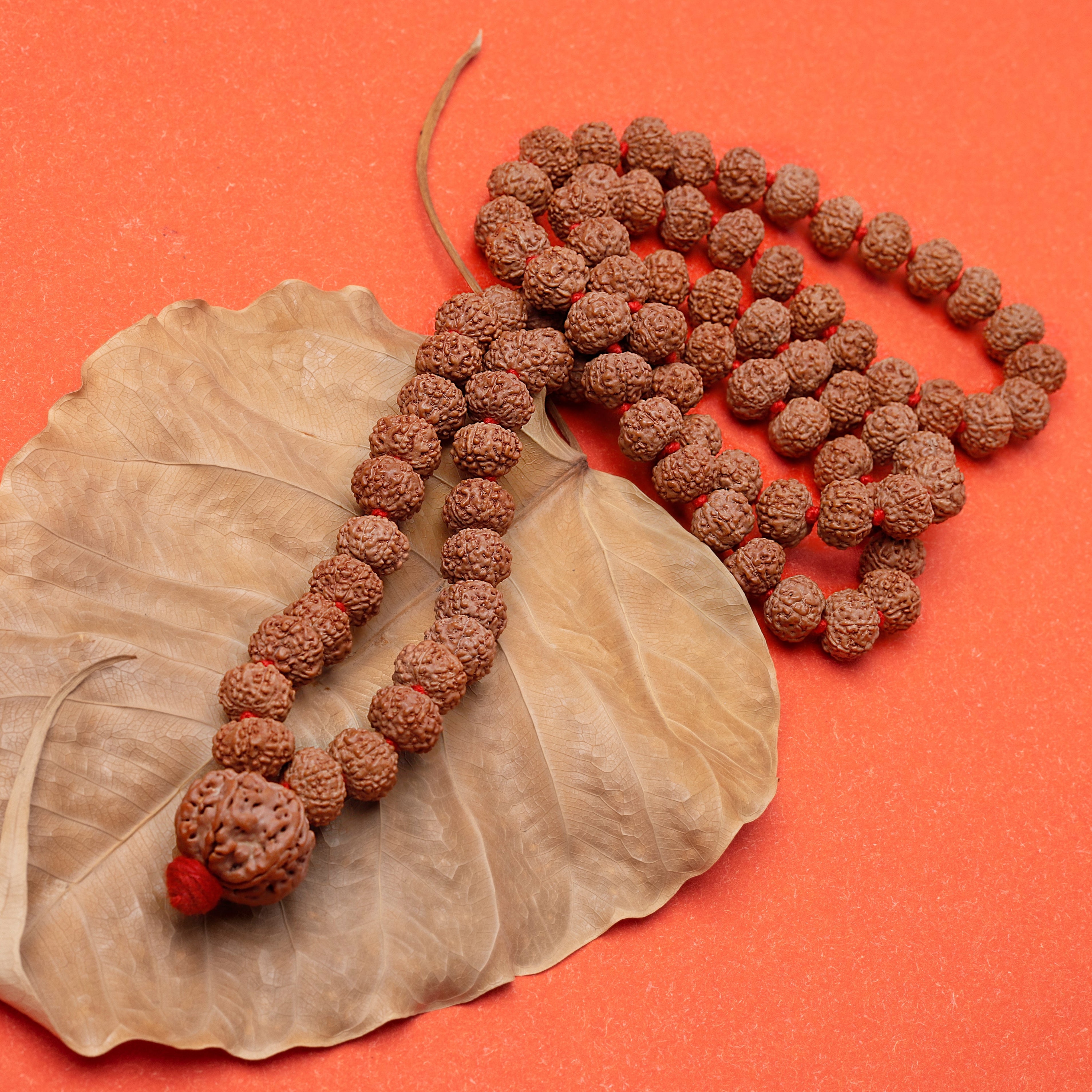 7 Mukhi Rudraksha Mala Indonesiano – 108 Perline Certificate 7-8 Mm – Filato Rosso