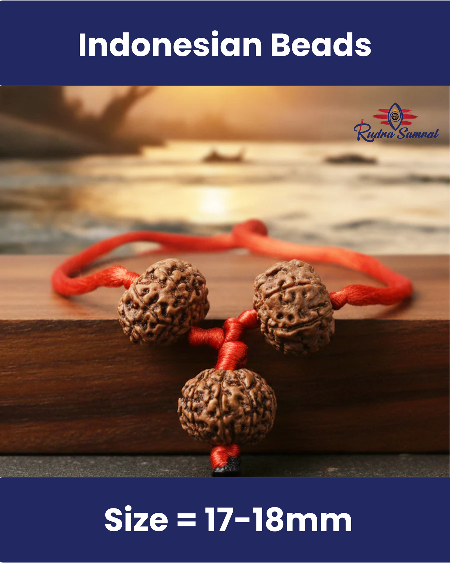 Shakti Bandh – 8, 9 & 10 Mukhi Rudraksha