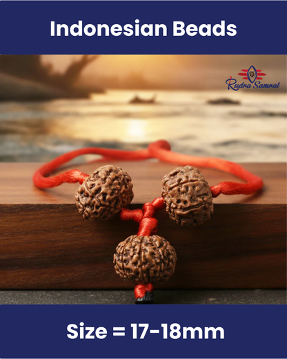 Shakti Bandh – 8, 9 & 10 Mukhi Rudraksha