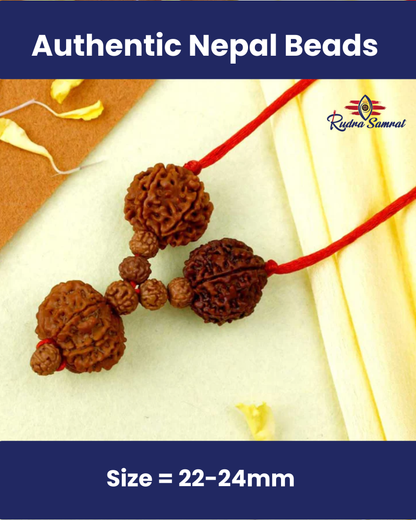 Shakti Bandh – 8, 9 & 10 Mukhi Rudraksha