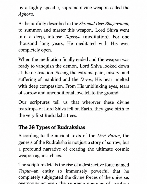Book Interior Page