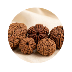 Rudraksha