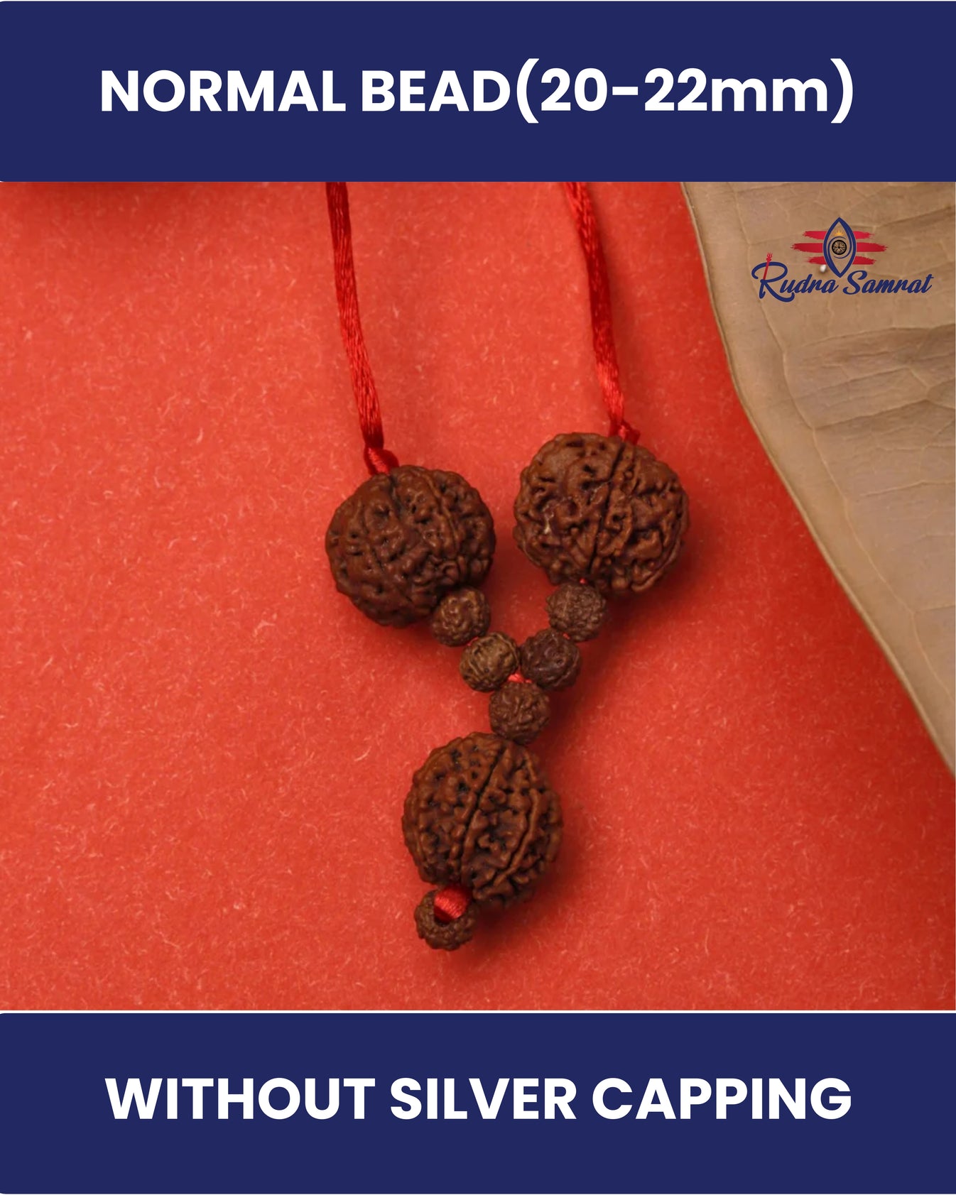Vishnu Lakshmi Bandh – Rudra Samrat