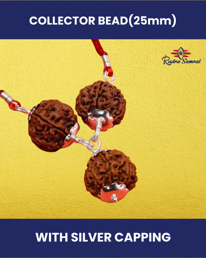 Vishnu Lakshmi Bandh