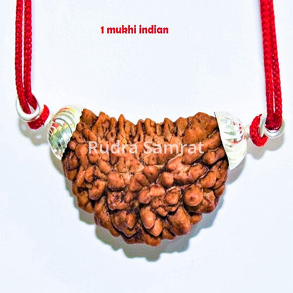 1 Mukhi Rudraksha