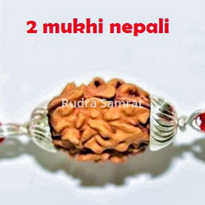 2 Mukhi Rudraksha