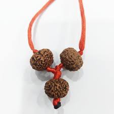 Shakti Bandh – 8, 9 & 10 Mukhi Rudraksha