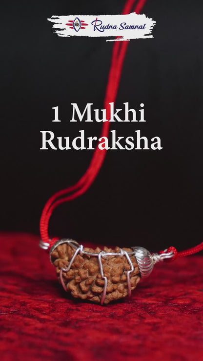 1 Mukhi Rudraksha