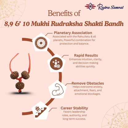 Shakti Bandh – 8, 9 & 10 Mukhi Rudraksha