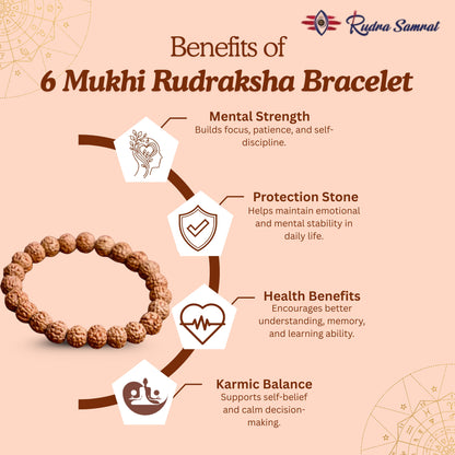 6 Mukhi Rudraksh Bracelet